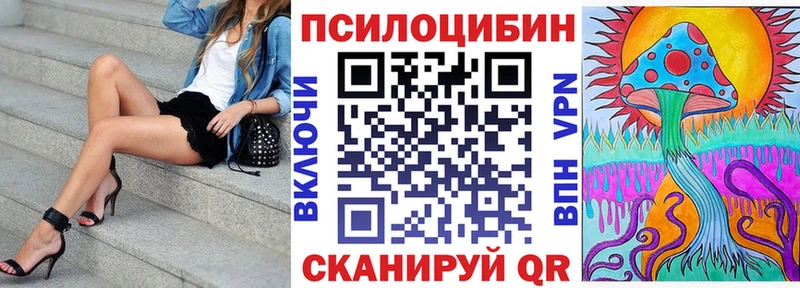 Купить закладки  Ессентукская  Псилоцибиновые грибы GOLDEN TEACHER 